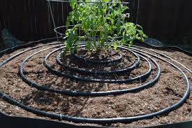 Do direct water at the base of a plant and avoid wetting foliage, which invites fungus. Drip Irrigation For Beginners Blog