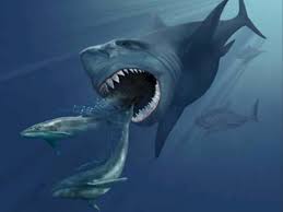 Maybe you would like to learn more about one of these? Mengenal Megalodon Si Hiu Super Predator Terbesar Yang Pernah Hidup Di Dunia Indozone Id