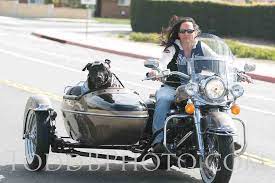 Emma Zen And Baby Banks Biker Dog Pet Transport Riding Motorcycle