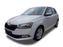 There may be a delay to any rrp displaying correctly on our materials. Skoda Eu Neuwagen Reimport Gunstig Mit Rabatt Kaufen