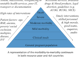 Anaemia in pregnant women isn't uncommon. Figure 1 From 60 Severe Acute Maternal Morbidity And Postpartum Hemorrhage Semantic Scholar