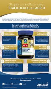 Terapii si tratamente naturiste stafilococul auriu se gaseste la nivelul multor organe. Mierea De Manuka Tratament Naturist Impotriva Stafilococului Auriu