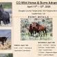 Wild Horse & Burro Adoption