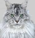 Home | Mitcha Coontails | European Maine Coon Kittens Cats ...