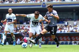 Unam pumas v necaxa prediction and tips, match center, statistics and analytics, odds comparison. Ù‡ÙŠÙƒÙ„ Ø¹Ø¸Ù…ÙŠ Ø§Ù„Ø£Ø³Ø§Ø³ÙŠØ© Ù†Ø¨Ø§ØªÙŠ Pumas Vs Necaxa Copa Mx Cazeres Arthurimmo Com