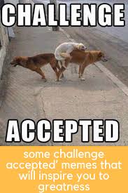Some Challenge Accepted Memes That Will Inspire You To Greatness Snarky Quotes Just For Laughs Funny Cartoons