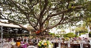 Southern California Outdoor Wedding Venues Los Angeles San Diego Orange County Palm S Wedding Venues Beach Wedding Venues California Los Angeles Miramar Hotel