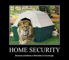 Home Security Meme Animaux Humour Drole