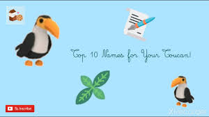 Top 10 List Of Names For Your Pet Toucan In Adopt Me Roblox Adopt Me Pet Names Youtube