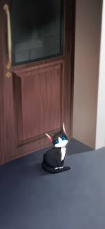 Love Unholyc Sol Cat In 2020 Fandoms