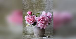Whether it is a get well flower gift basket, mother's day flowers, seasonal centerpiece for the holidays or something that says i love you lucille's floral designs is the leading florist in uxbridge, ma and will make sure to send quality flowers in a stunning arrangement. Helen Lucille Clanahan Obituary Visitation Funeral Information