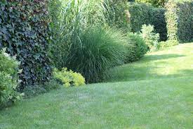 Maybe you would like to learn more about one of these? Mayrhofer Shop Garten Terrasse