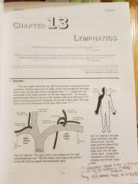 Find this pin and more on visceral fascia by suzanne de chazal. Mcat Memoranda Sibson S Fascia Is Made From The Connective Tissue