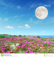 Επιδίωξη και των δύο πλευρών είναι η συνεργασία με βάση τις αρχές του διεθνούς δικαίου, συμπεριλαμβανομένου του δικαίου της θάλασσας και της καλής γειτονίας, που προωθεί και. Feggari Kai Loyloydia Stok Eikona Eikona Apo Hottentox 45421053