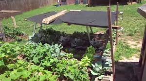 (margaret park) by jeanette marantos. How To Shade Your Garden For Cheap Youtube