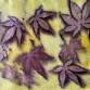 Gelli Plate Printing with Botanicals
