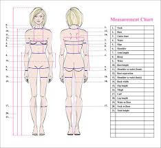 Image result for outline of torso shape for medical form. Woman Body Measurement Chart Scheme For Measurement Human Body Royalty Free Cliparts Vectors And Stock Illustration Image 97129647