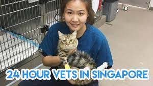 Check spelling or type a new query. 11 24 Hour Vets In Singapore Sorted By Location To Bookmark For Emergencies At 3am