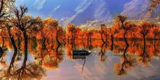 Roadshows In India Abroad To Draw Tourists Back To Kashmir The New Indian Express Shot at sonamarg, a beautiful place also known as, the meadow of gold. draw tourists back to kashmir