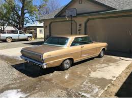 Image result for Autumn Gold 1962 Nova