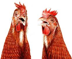 Pin On Tiere Im Museum Bayern