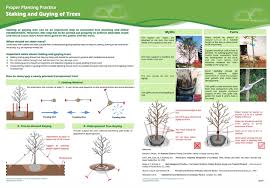 Staking trees properly desert fruit trees fruit tree fertilizer how to stake trees best way to stake trees staking maples trees zones for growing fruit trees plant support stakes fruit tree. Staking And Guying Appendix 14 Of Handbook On Tree Management Htm By Gltm Tree Tree Care Trees To Plant