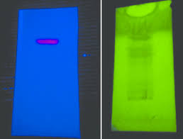 Image result for Dicliptera laxata