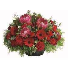 Check spelling or type a new query. 14 Send Christmas Flowers Online To Australia Ideas Christmas Flowers Flowers Online Flowers Australia