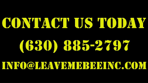Pest control service in aurora, illinois. Leave Me Bee Pest Control Inc Home Facebook