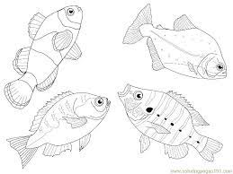 The betta fish that seems to go after food particles in water would look beautiful in a multitude of colors. 4 Fishes Different Views Coloring Page For Kids Free Other Fish Printable Coloring Pages Online For Kids Coloringpages101 Com Coloring Pages For Kids