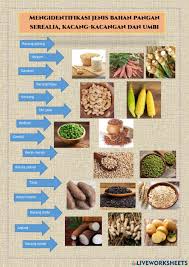Ada dua jenis utama protein pada gluten, yaitu glutenin dan gliadin. Ejercicio De Pengolahan Serealia Kacang Kacangan Dan Umbi