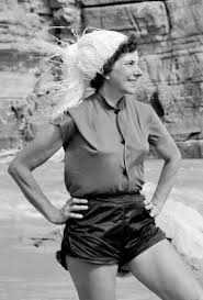 Image result for Diamond White 1986 Hoover