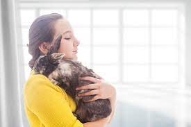 Coping with pet loss requires understanding. Family Animal Services Of Utah Pet Cremation Services