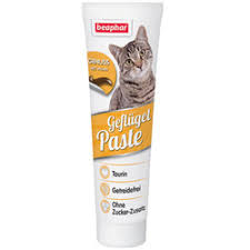 Kedi Deri Ve Tuy Sagligi
