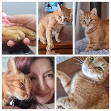 Remembering Pipster: These photos were taken in the year 2010, for  example... -I have a plethora from years