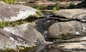 We did not find results for: Dixon Springs Parks