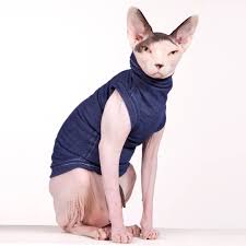 8,638 likes · 228 talking about this. Sphynx Cat Shirts The Skinny Jean Sphynx Cat Wear