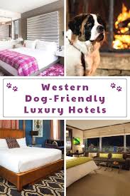 The Top Pet Friendly Luxury Hotels On The West Coast Luxury Hotel Pet Resort Dog Friendly Vacation