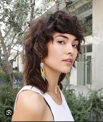 Hair stylist; woman's mullet. : r/cincinnati