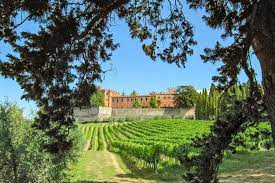Full day tour in the heart of tuscany region: The 10 Best Wineries Vineyards And Wine Tasting Experiences In Tuscany