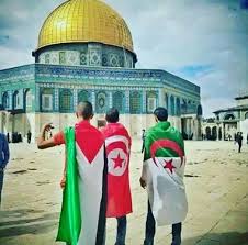 Les hommes d'affaires de tunisie et d'algérie sont maintenant en droit de pousser un soupir de soulagement. Palestine Algerie Tunisie Uploaded By Lowcost