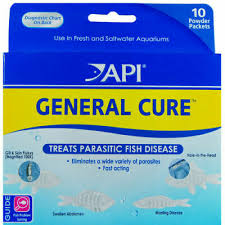 Api General Cure 10 Powder Packet Aquatic Treats Fish Disease Free Ship In Usa 317163160152 Ebay