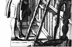 Image result for Droguetia ambigua