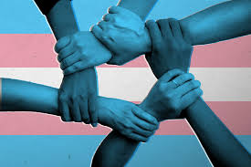 Family doctor reviews, phone number, address and map. Support Houston S Black Transgender Community Through These Local Advocacy Organizations Houstonia Magazine