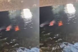 Membuat filter kolam ikan untuk sitem ras budidaya ikan lele,. Gosumbar Com Influencer Unggah Video Got Jepang Yang Bersih Ada Yang Ragu Itu Benar