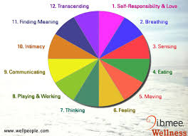 Reconsider How You Define Wellness Through These 12 Dimensions Empowerment Education Cultivates A Healthy And Productive Envi Wellness Empowerment Motivation