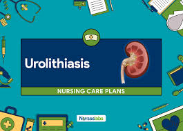 4 Urolithiasis Renal Calculi Nursing Care Plans Nurseslabs Nursing Care Plan Nursing Care Care Plans
