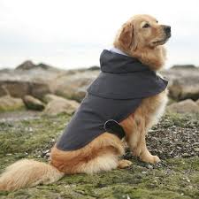 Tubegalore.com has a huge collection of porno :: Pin On Baby