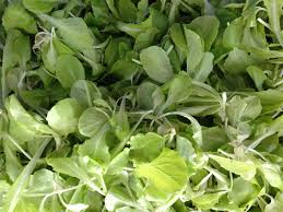 Image result for RAU MẦM CẢI XANH