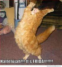 Its Friday Cat Memes